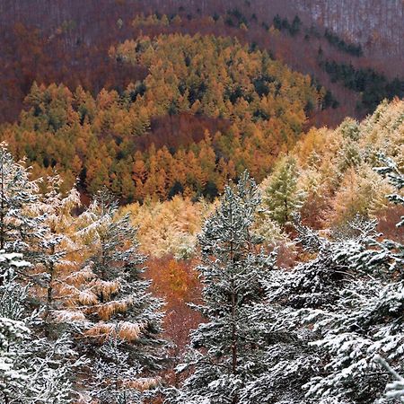 Altxabi Apartamento Rural Ochagavia Bagian luar foto