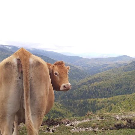 Altxabi Apartamento Rural Ochagavia Bagian luar foto