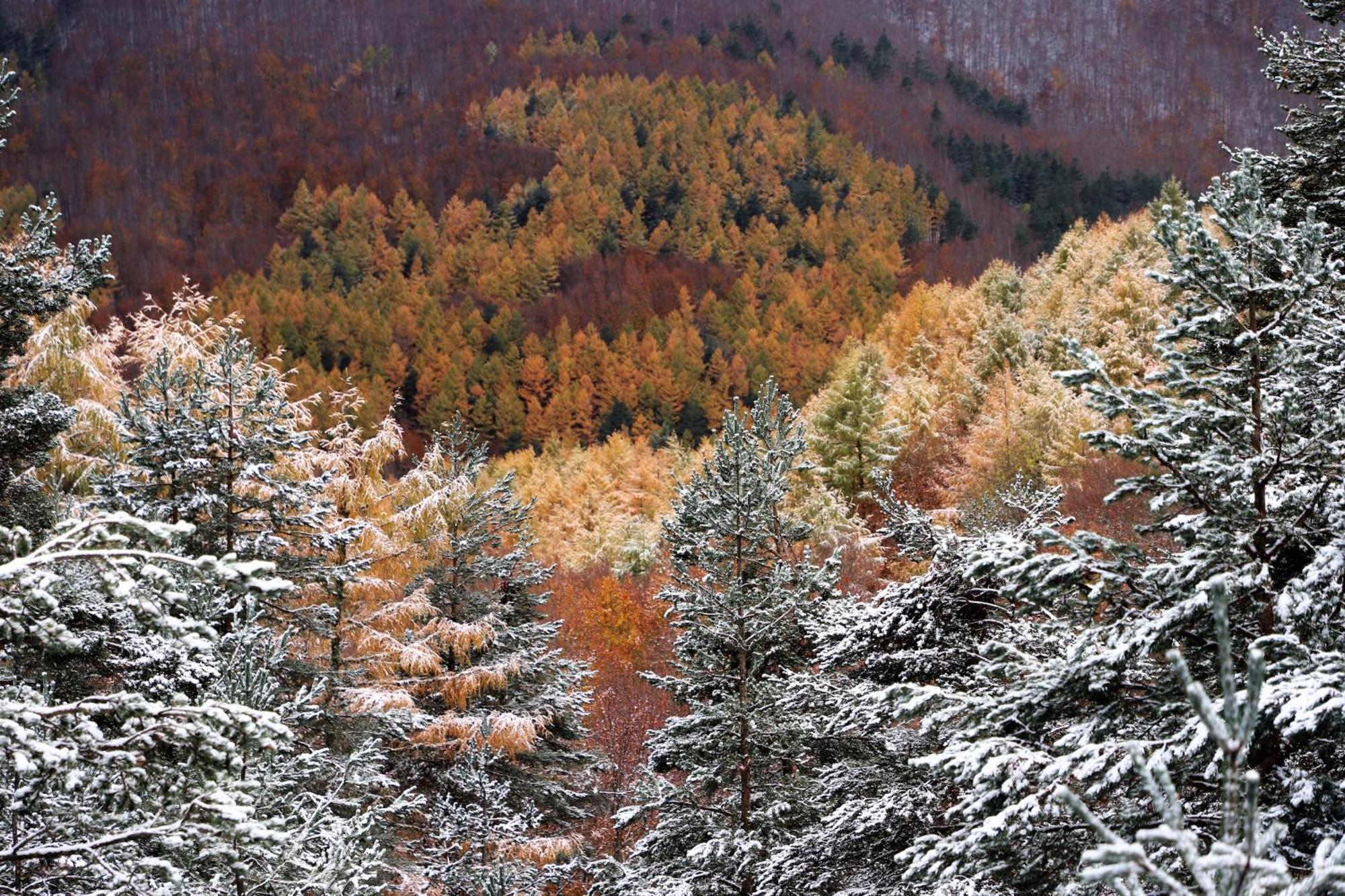Altxabi Apartamento Rural Ochagavia Bagian luar foto